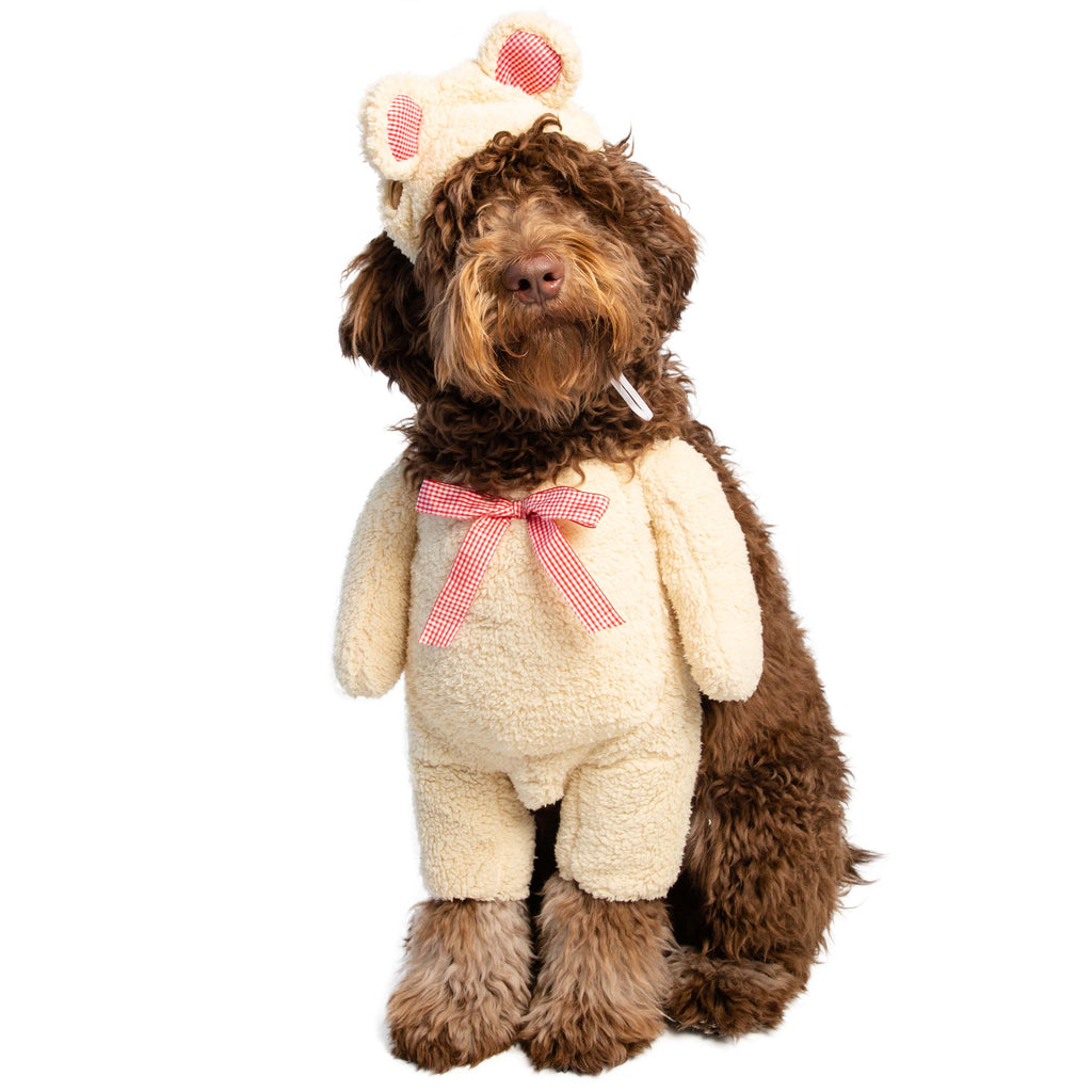 White teddy bear dog costume shop