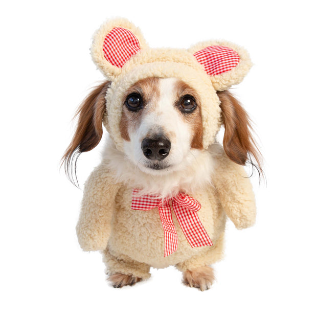 walking teddy bear pet costume