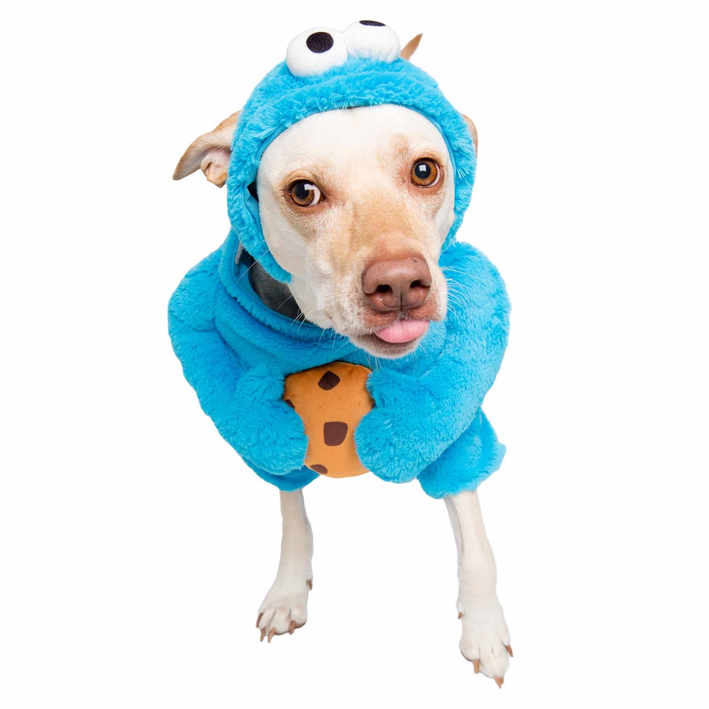 cookie monster dog costume