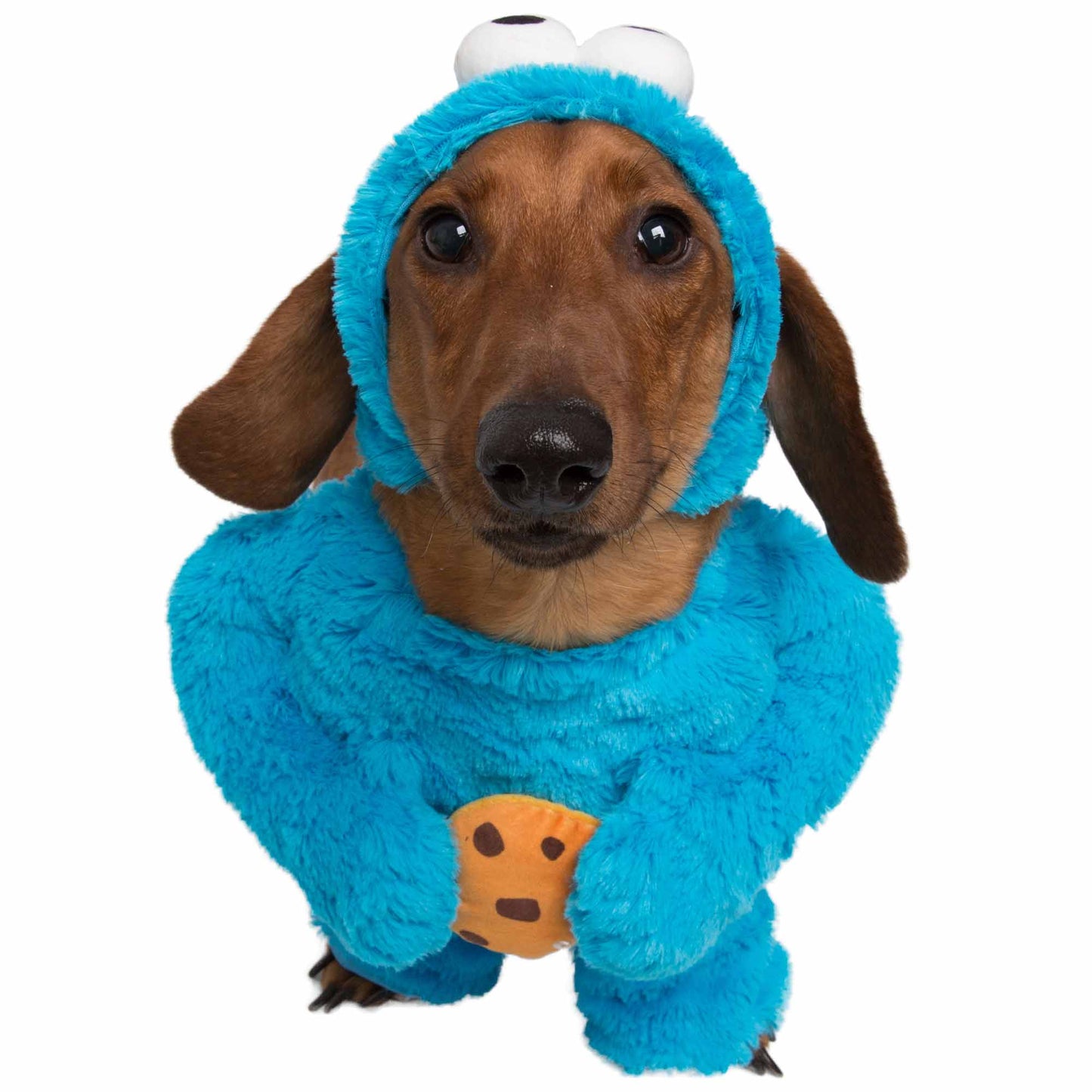 cookie monster dog costume