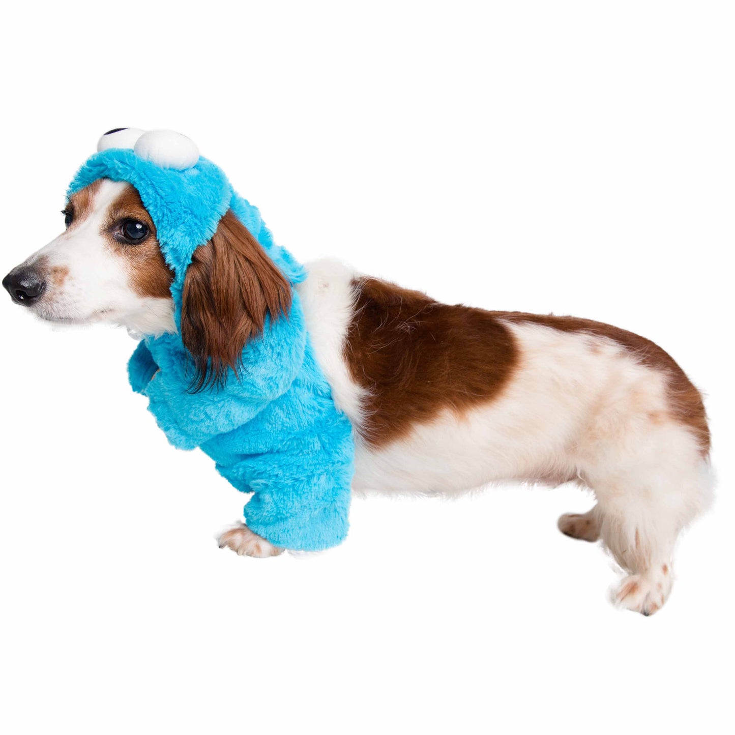 cookie monster dog costume