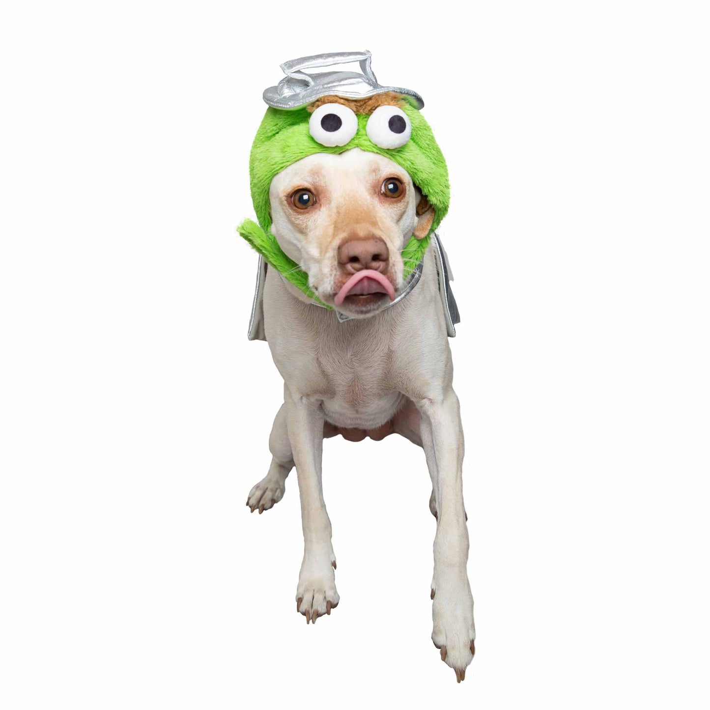 oscar the grouch dog costume