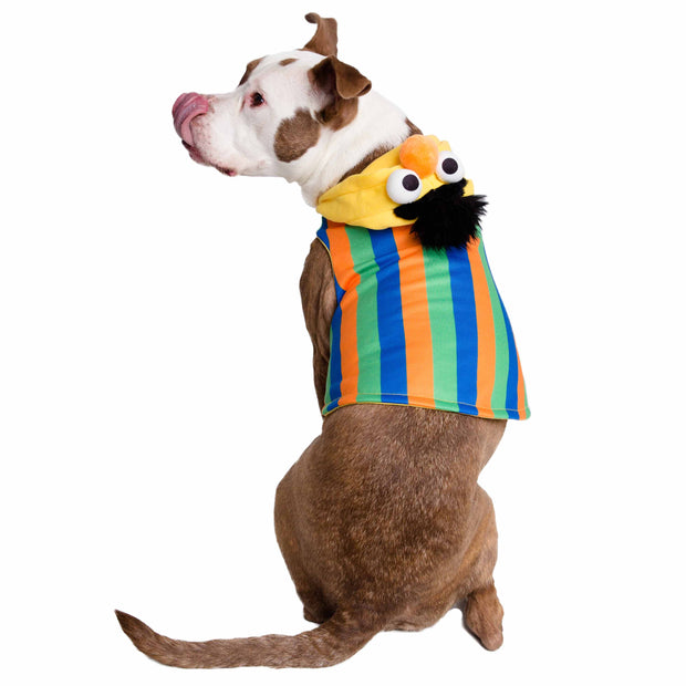 Sesame Street Bert Dog Hoodie
