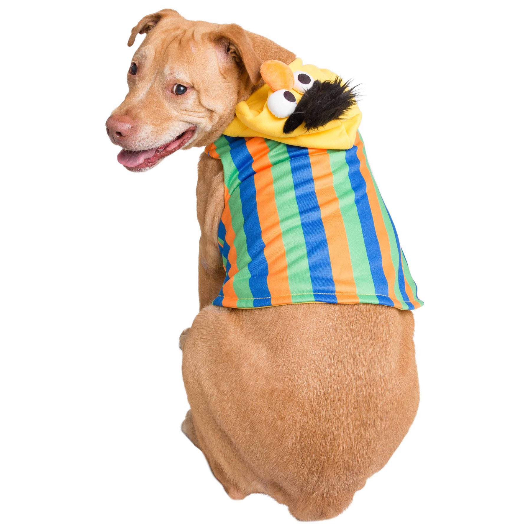 Sesame Street Bert Dog Hoodie – Pet Krewe