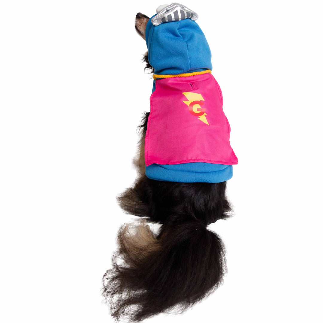 Teddy fresh dog hoodie online
