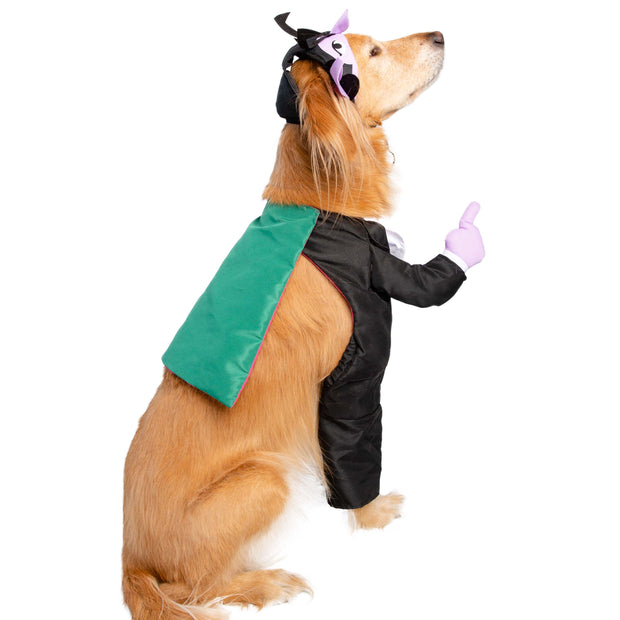 sesame street the count dog costume