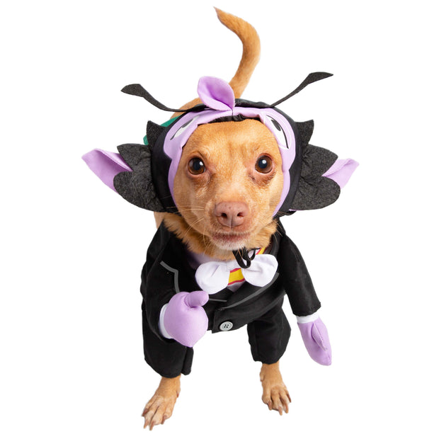 sesame street the count costume for dogs