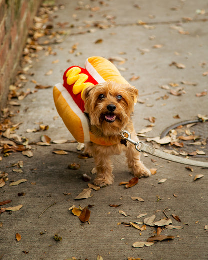 dog hotdog costume