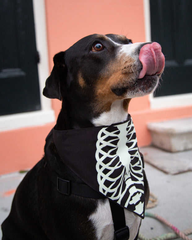 Glow-In-The-Dark Skeleton Dog Bandana