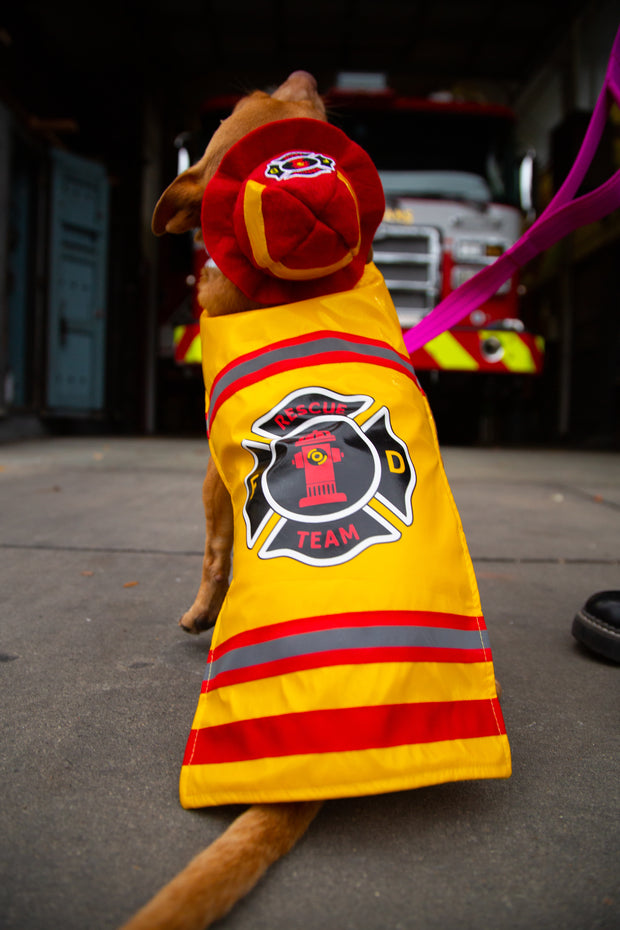 dog fireman costume