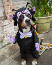 sesame street costume for dogs