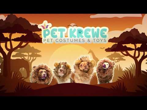 lion mane dog costume video 